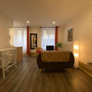 L'Ours De Colmar - Appartements En Centre Ville